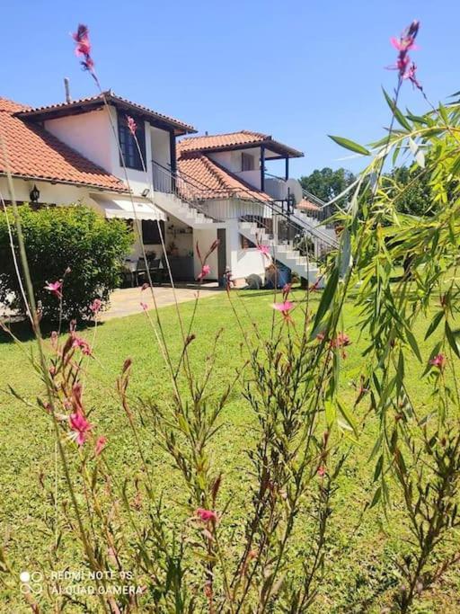 Thea 1 Apartament Platamonas