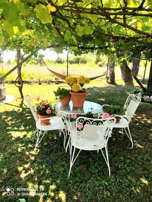 Thea 1 Apartament